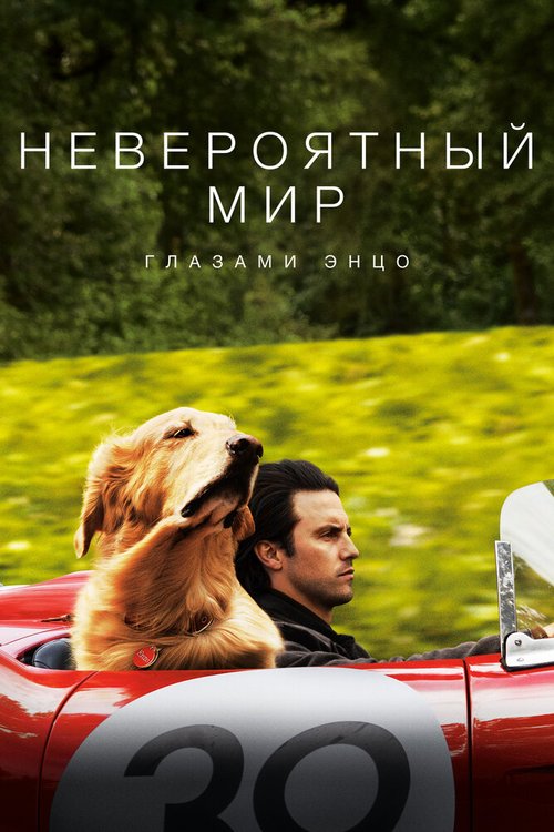 Тунцовая девушка (2019)