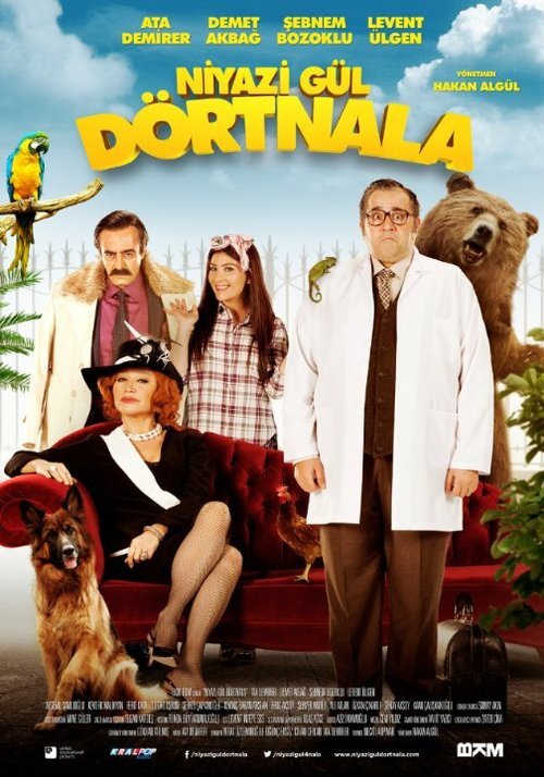 Постер фильма Niyazi Gül Dörtnala (2015)