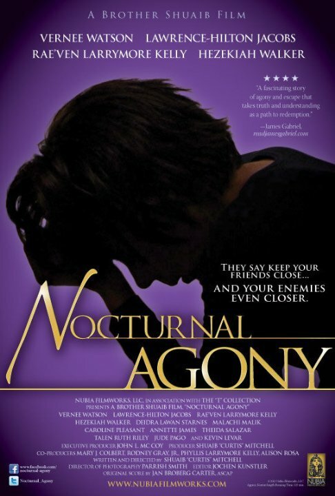 Постер фильма Nocturnal Agony (2011)