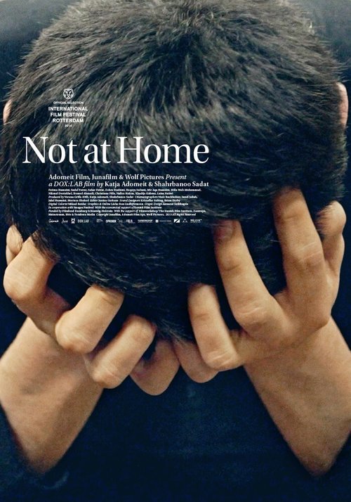 Постер фильма Not at Home (2013)