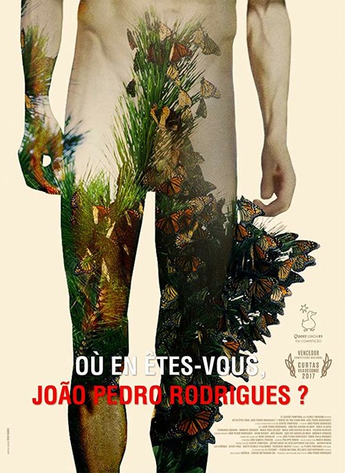 Постер фильма Où en êtes-vous, João Pedro Rodrigues? (2017)