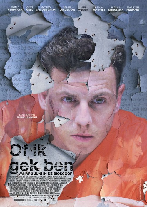 Постер фильма Of ik gek ben (2016)