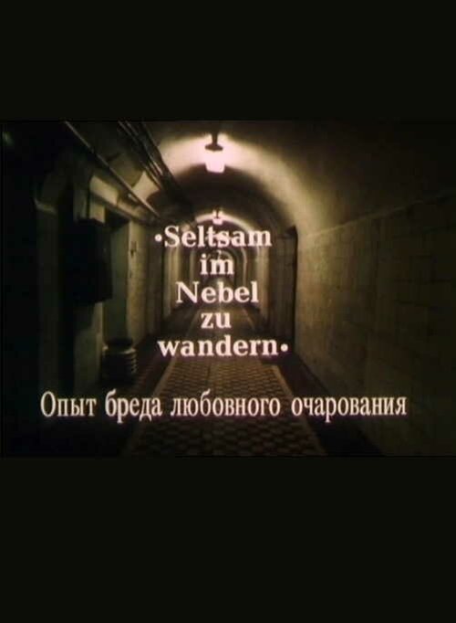 Постер фильма Опыт бреда любовного очарования (1991)