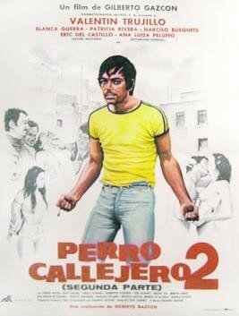 Старик и ветер (1981)