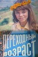 Постер фильма Переходный возраст (1981)