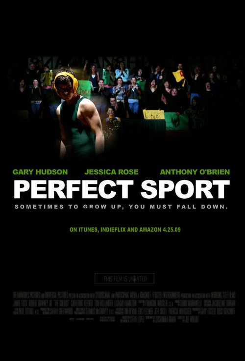 Постер фильма Perfect Sport (2008)