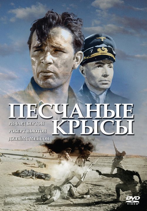 Постер фильма Песчаные крысы (1953)