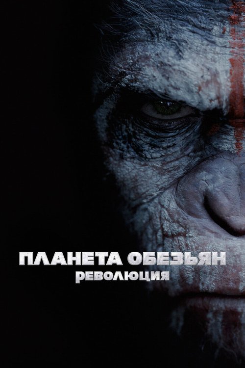 Светлый папа (2014)