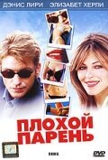 Мелкие неприятности (2002)