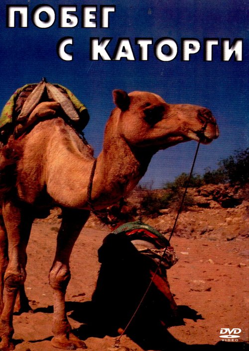 Дождь в горах (1979)