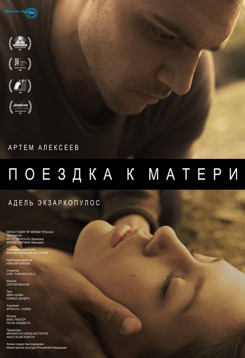 Назидательная история (2014)