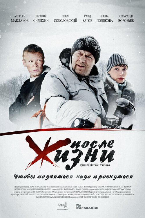 Крейцерова соната (2008)