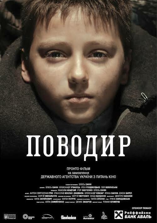 Постер фильма Поводырь (2013)