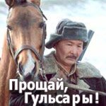 Постер фильма Прощай, Гульсары! (2008)