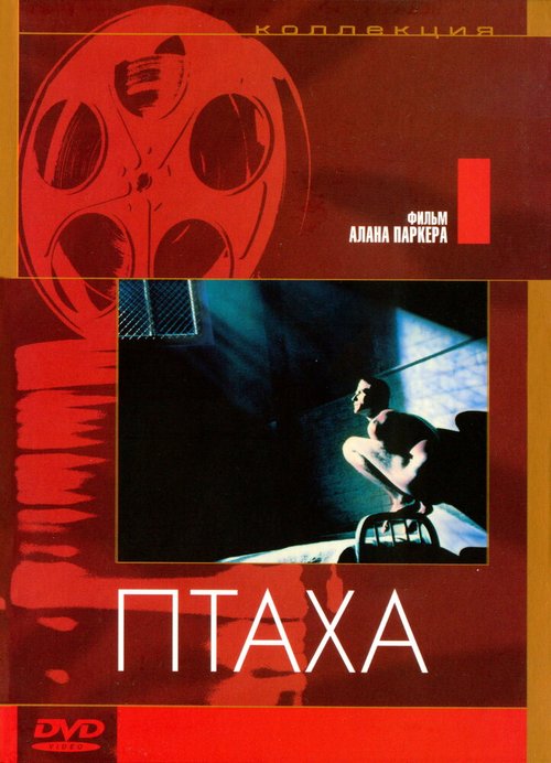 Постер фильма Птаха (1984)