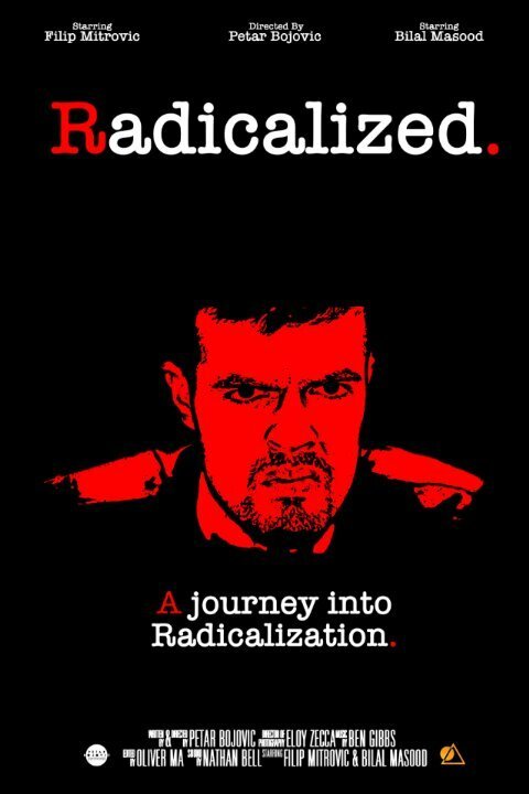 Постер фильма Radicalized (2016)