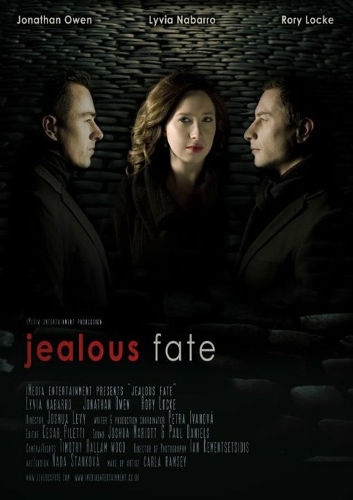 Постер фильма Ревнивая судьба (2010)