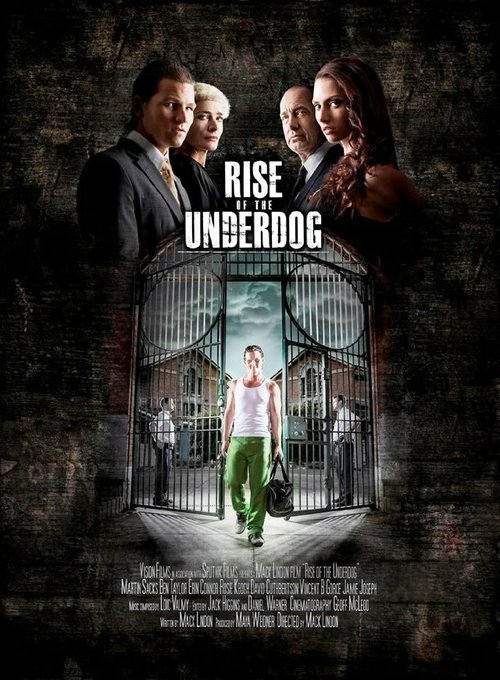 Постер фильма Rise of the Underdog (2013)