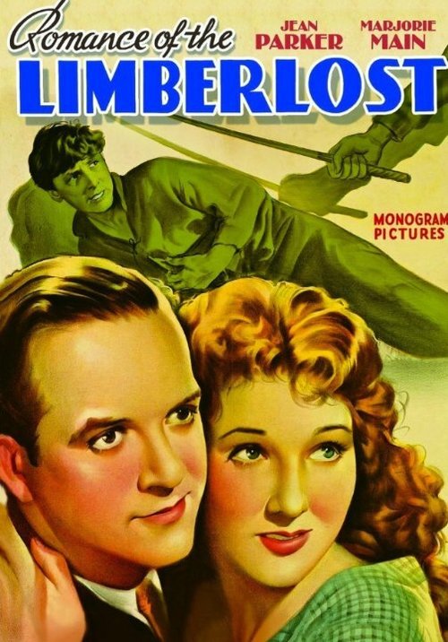 Постер фильма Romance of the Limberlost (1938)