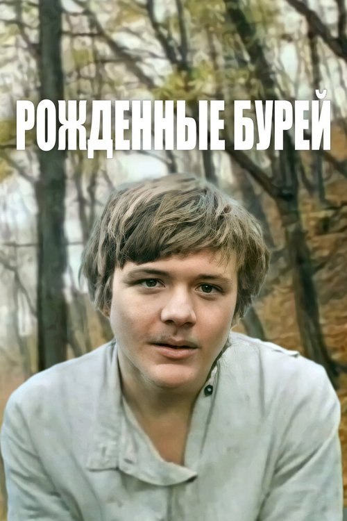 Постер фильма Рожденные бурей (1981)