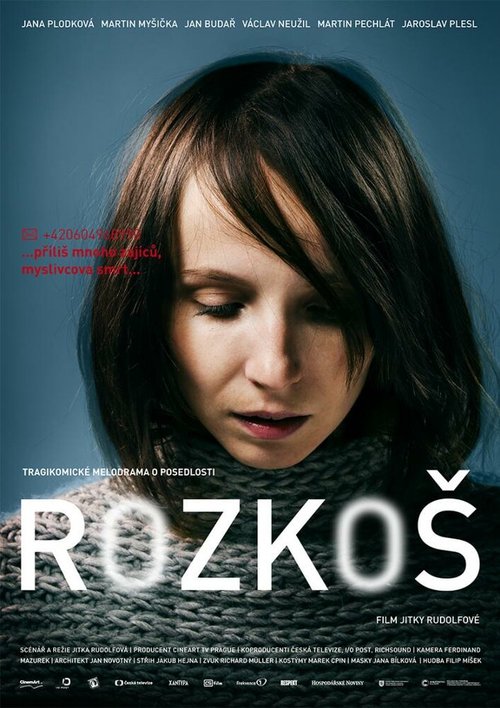 Постер фильма Rozkos (2013)