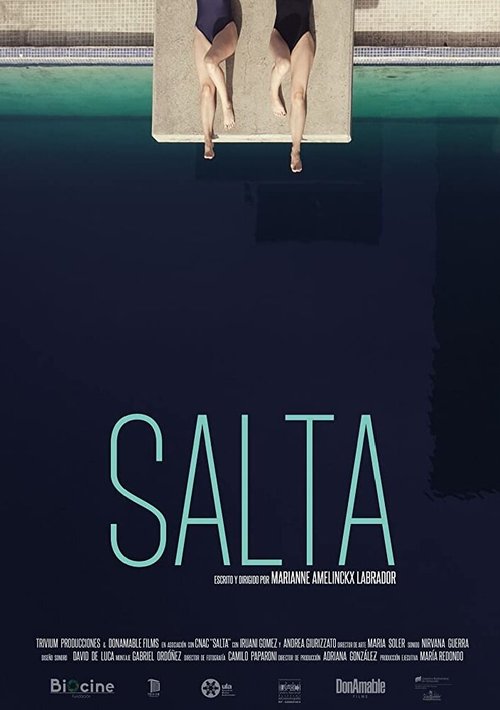 Постер фильма Salta (2017)