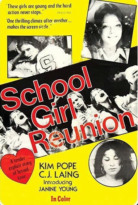 Постер фильма Schoolgirl's Reunion (1977)