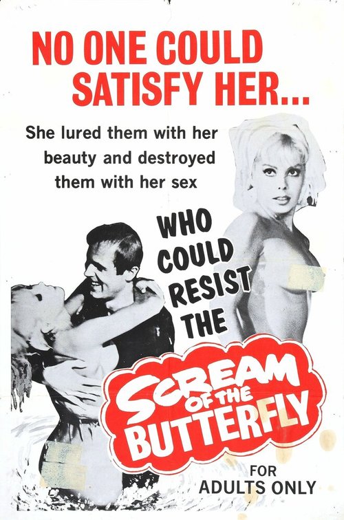 Постер фильма Scream of the Butterfly (1965)