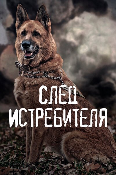 Постер фильма След Истребителя (2015)