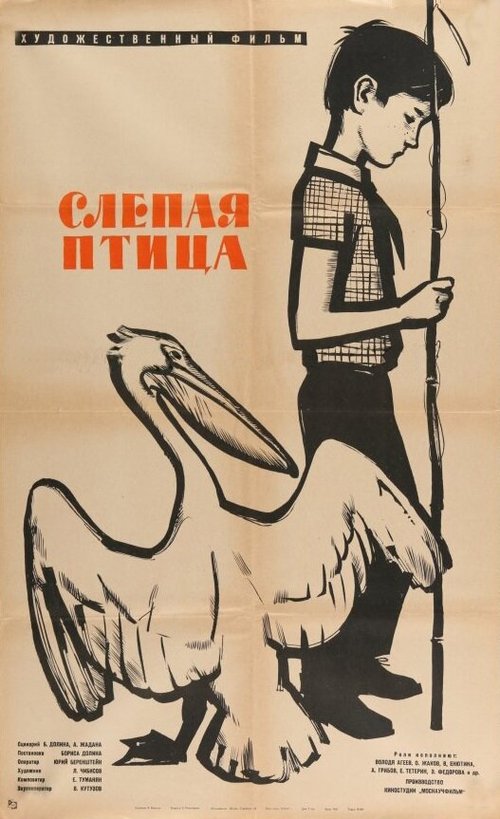 Постер фильма Слепая птица (1963)