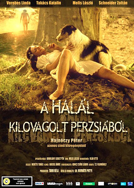 Ванильное мороженое (2004)