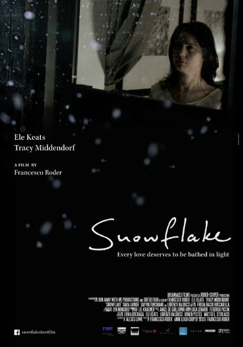 Постер фильма Snowflake (2014)