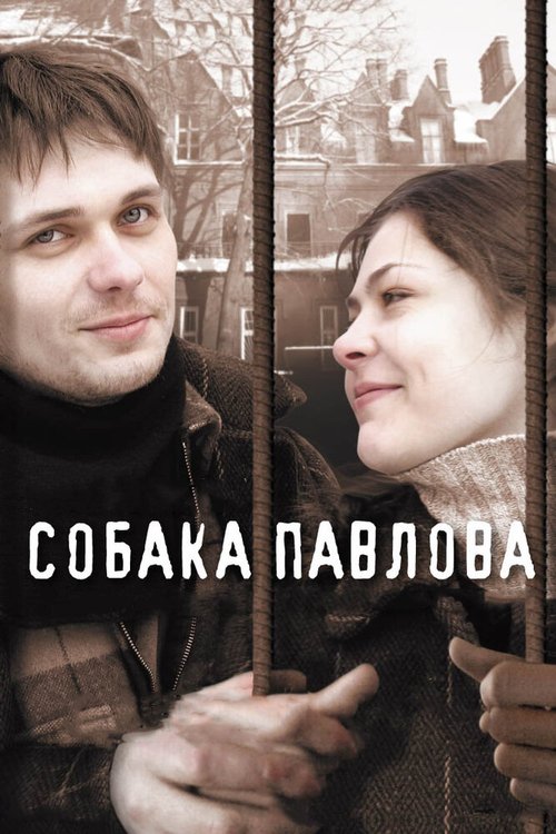 Постер фильма Собака Павлова (2005)