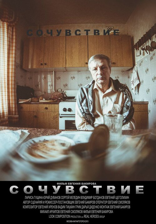 Сходство (2013)