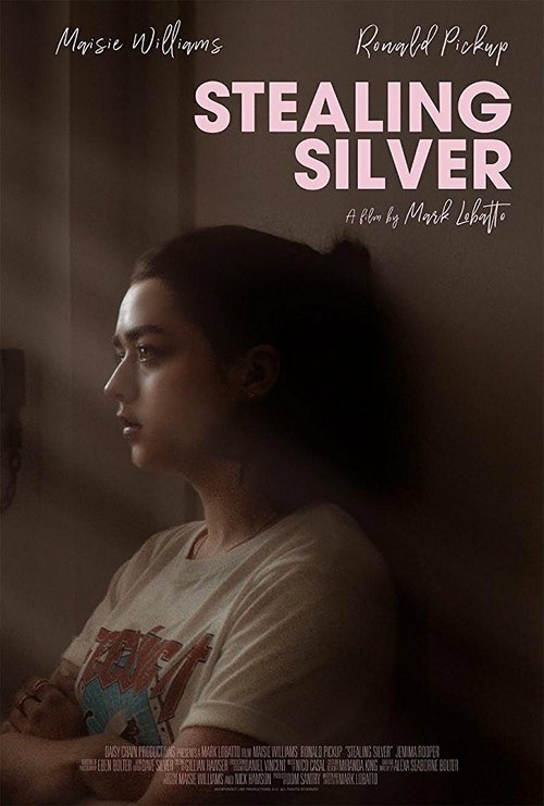 Постер фильма Stealing Silver (2018)