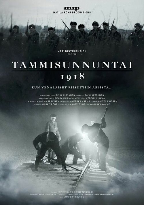 Постер фильма Tammisunnuntai 1918 (2017)