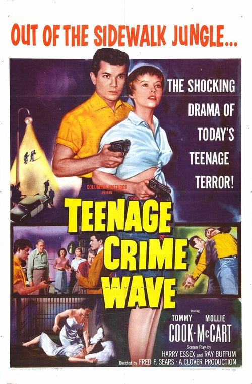 Постер фильма Teen-Age Crime Wave (1955)