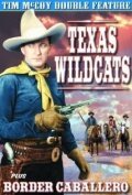 Постер фильма Texas Wildcats (1939)