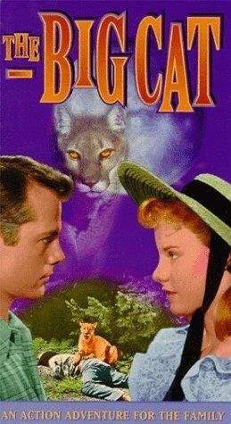 Постер фильма The Big Cat (1949)