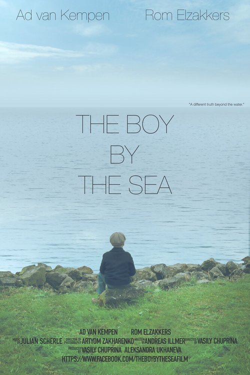 Постер фильма The Boy By the Sea (2016)