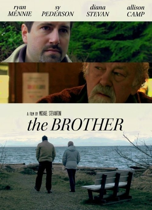 Постер фильма The Brother (2013)