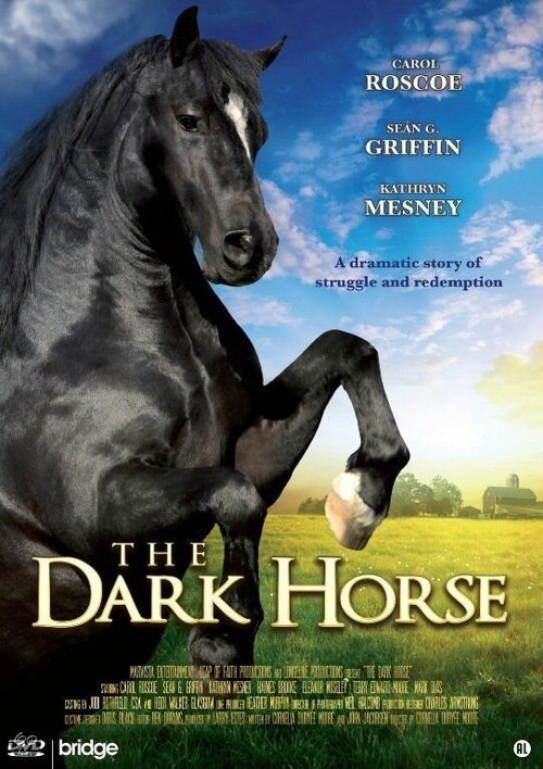 Постер фильма The Dark Horse (2008)