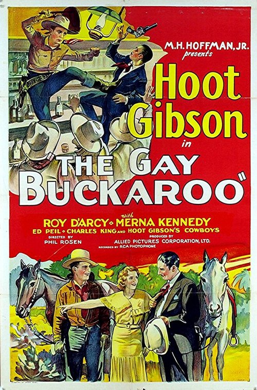 Постер фильма The Gay Buckaroo (1931)