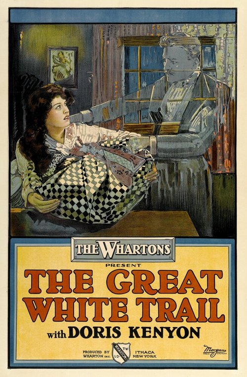 Постер фильма The Great White Trail (1917)