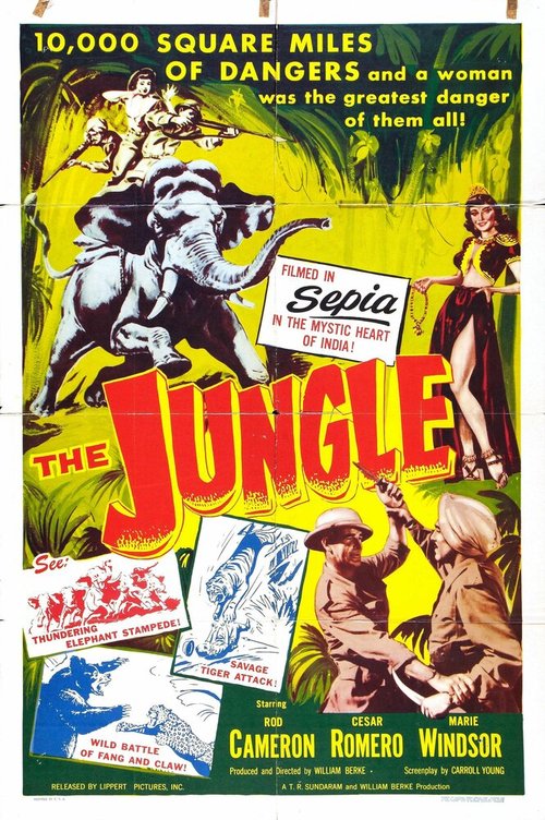 Постер фильма The Jungle (1952)