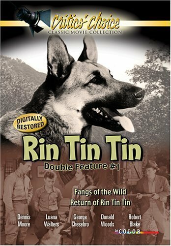 Постер фильма The Return of Rin Tin Tin (1947)