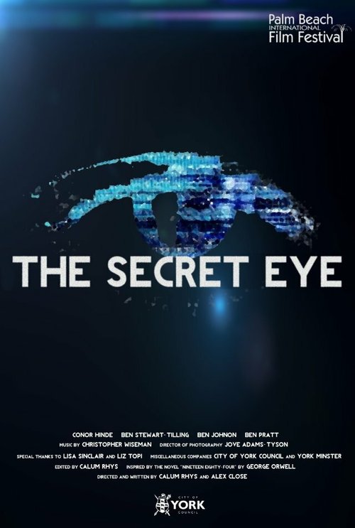 Постер фильма The Secret Eye (2013)