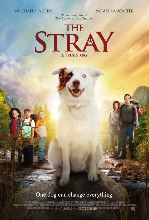 Постер фильма The Stray (2017)