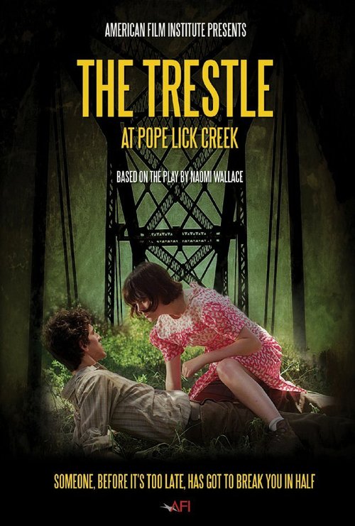 Постер фильма The Trestle at Pope Lick Creek (2013)