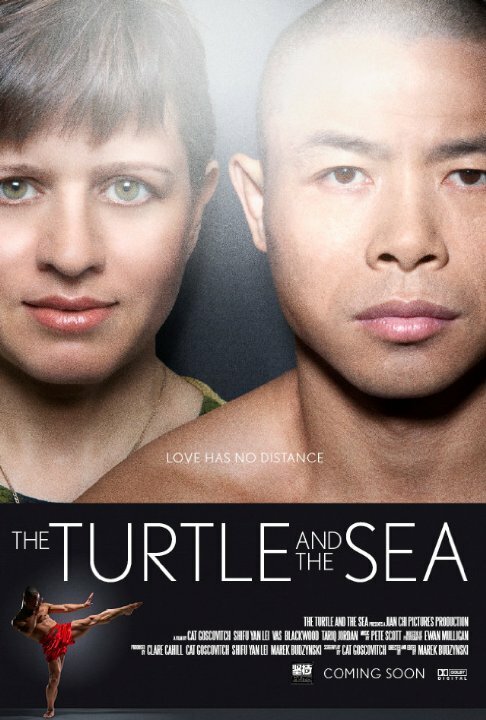 Постер фильма The Turtle and the Sea (2014)